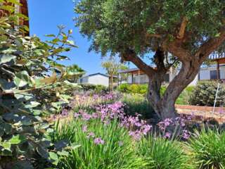 Camping El Pla de Mar - Albatross Mobile Homes